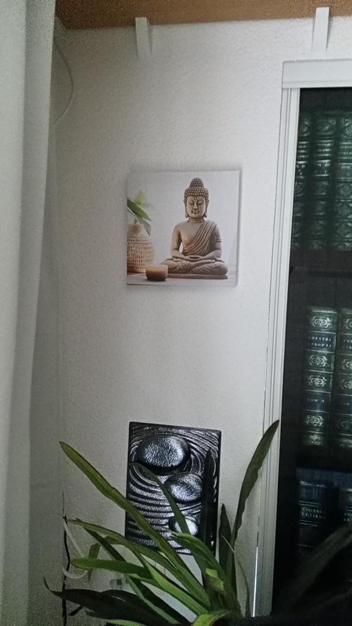 Le Roi Du Sundgau Pres De La Horse - Mooslargue Aparthotel ภายนอก รูปภาพ